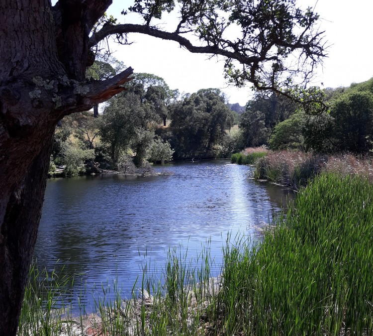 Hidden Lakes Park (Martinez,&nbspCA)